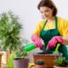 Plantas de fácil cuidado para iniciantes em casa