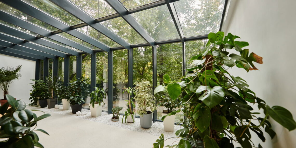 Plantas de baixa manutenção para enfeitar janelas ensolaradas