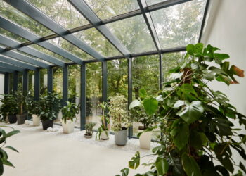 Plantas de baixa manutenção para enfeitar janelas ensolaradas
