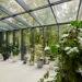 3 plantas para enfeitar corredores e trazer mais vida ao ambiente