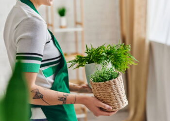 Plantas que iluminam o caminho para o empoderamento diário