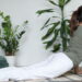 As 3 plantas que inspiram academias caseiras com vitalidade natural e motivação