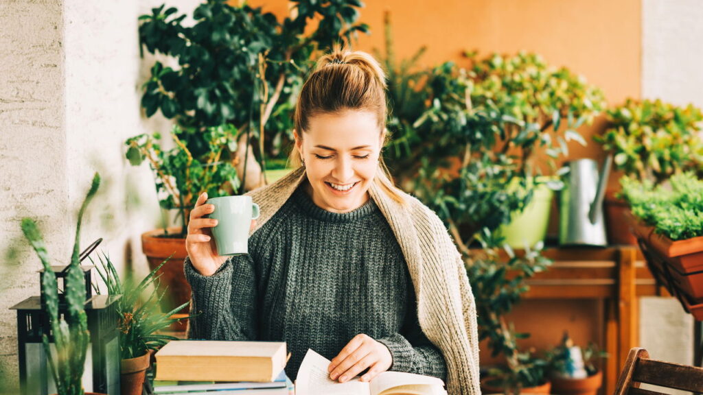 Plantas que criam ambientes calmos para leitura e momentos de reflexão