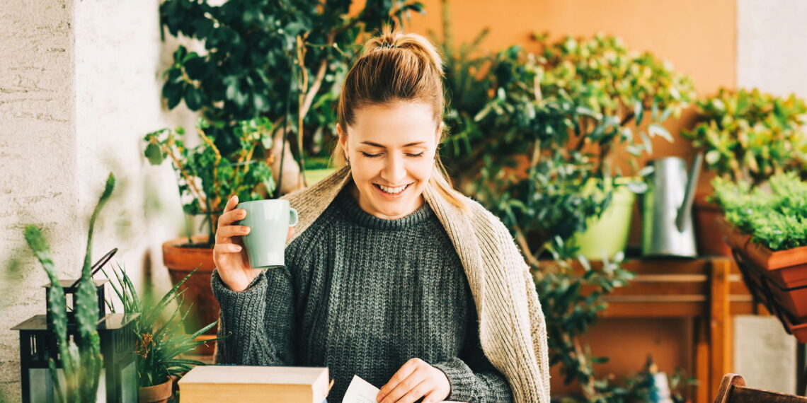 Plantas para criar cantos calmos de leitura e reflexão