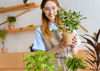 Plantas aromáticas que perfumam a casa e afastam mosquitos