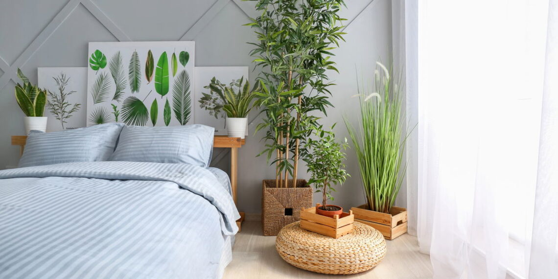 3 plantas que adicionam leveza e um ar de liberdade aos cantos da casa