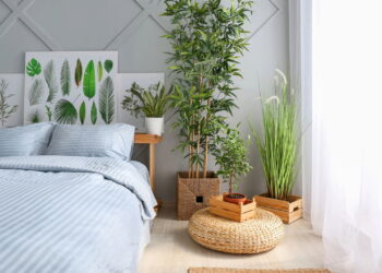 3 plantas que adicionam leveza e um ar de liberdade aos cantos da casa