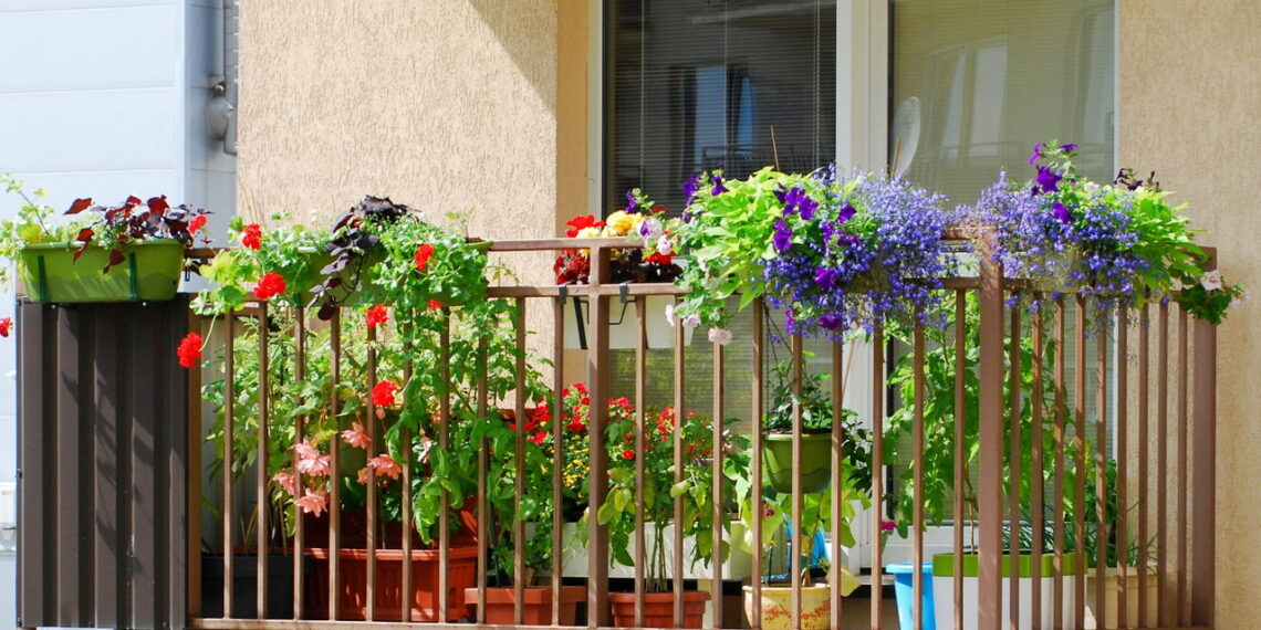 3 plantas que transformam varandas em espaços relaxantes e lindos