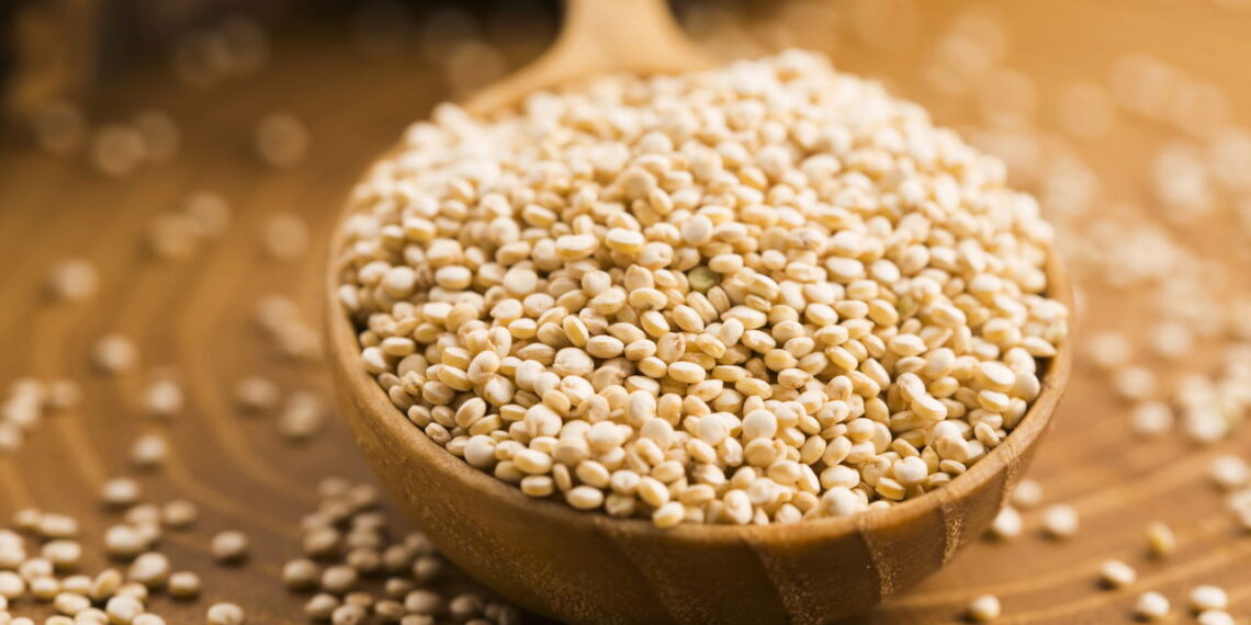 Alimente seu corpo e mente com receitas práticas e cheias de leveza
