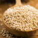 Alimente seu corpo e mente com receitas práticas e cheias de leveza