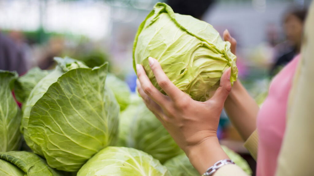 Como armazenar repolho crocante e pronto para uso em receitas