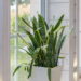 Plantas para decorar banheiros com frescor e estilo minimalista