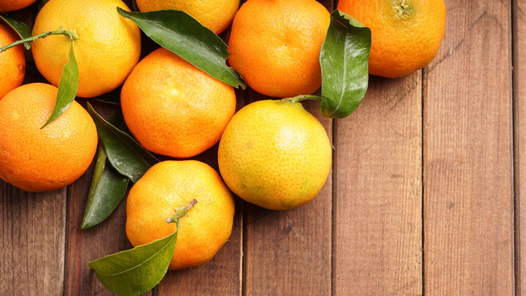 Fruta cítrica com sabor adocicado conquista quem a cultiva