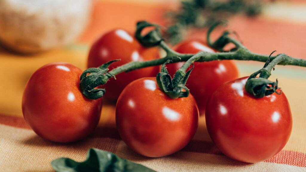 5 frutas refrescantes que se adaptam a rotinas e colhem em ciclos curtos