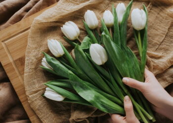 Como escolher a flor certa para o aniversário de cada signo