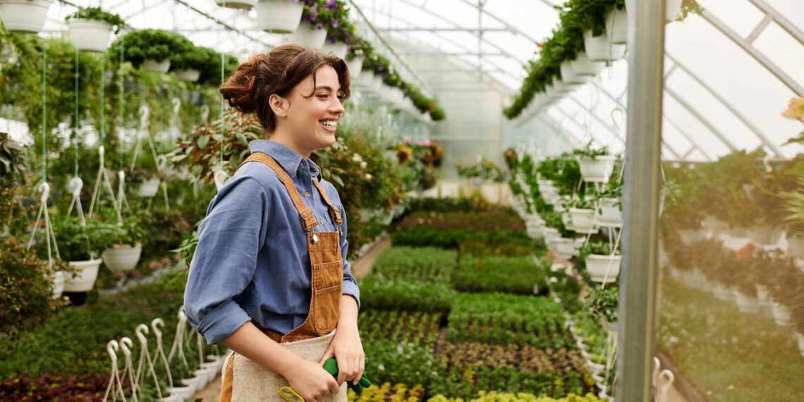 Essas plantas atraem criatividade e ideias compartilhadas