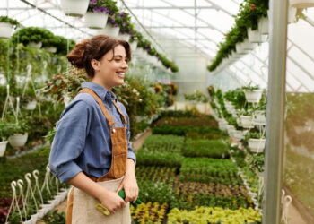 Essas plantas atraem criatividade e ideias compartilhadas