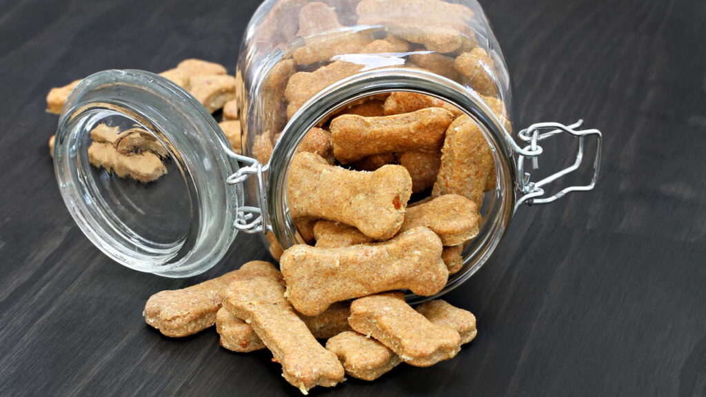 Como fazer biscoitos caseiros para cães com ingredientes simples