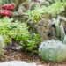 Plantas lindas que quase cuidam de si mesmas na decoração
