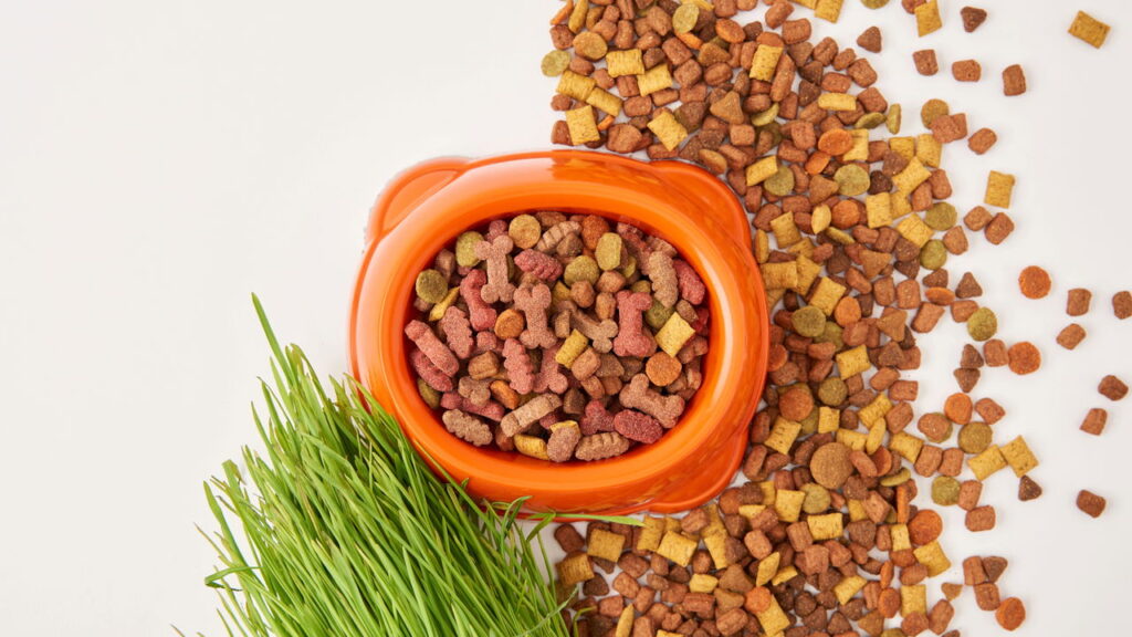 Como oferecer uma alimentação ecológica e saudável para seu pet