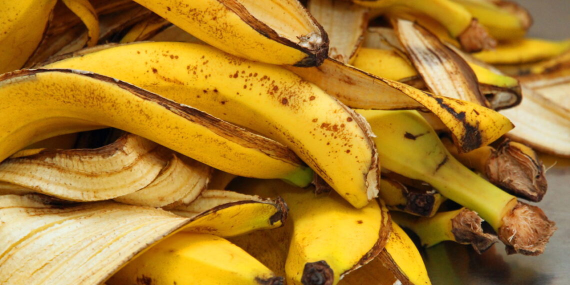 Picar casca de banana: para que serve e como usar