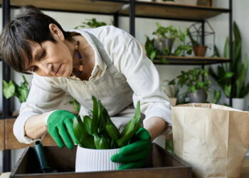 Signos que ficam mais relaxados quando cultivam plantas