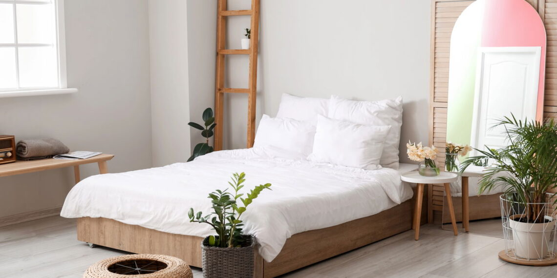 Quarto mais calmo e sono melhor com essas plantas fáceis de cuidar