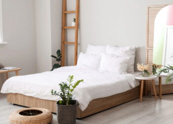 Quarto mais calmo e sono melhor com essas plantas fáceis de cuidar