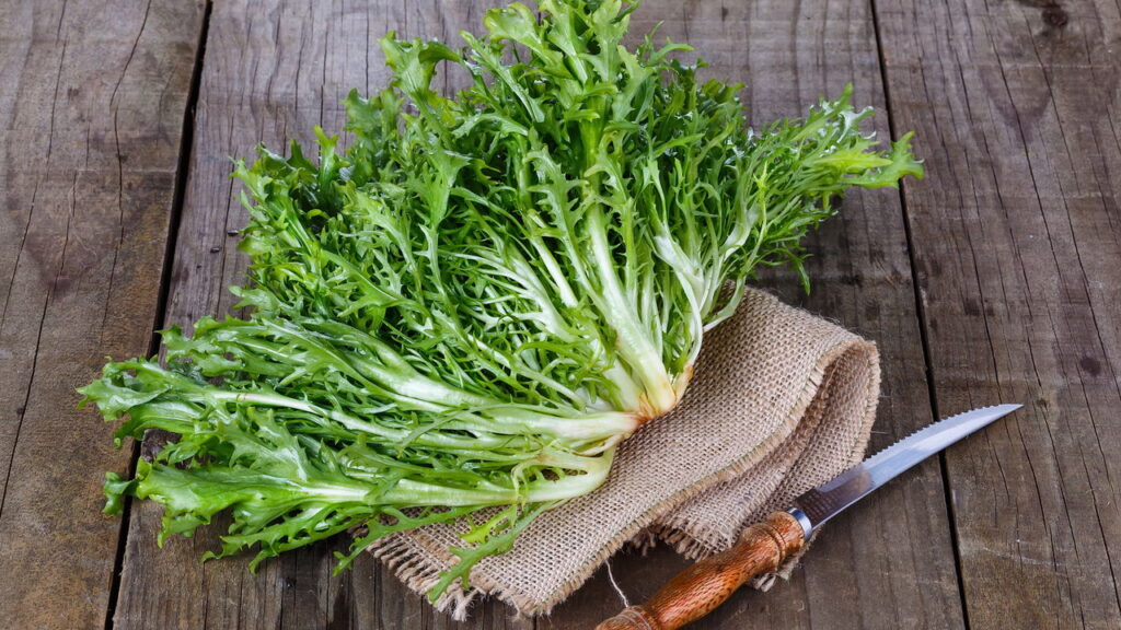 Essa planta é rica em benefícios e pode transformar sua alimentação