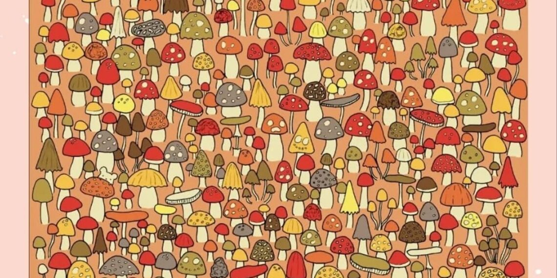 Apenas 25% da população consegue encontrar o rato nessa imagem