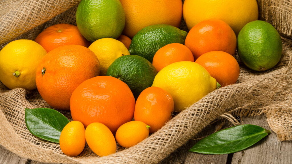 3 frutas que resistem a geadas leves e colhem em invernos suaves