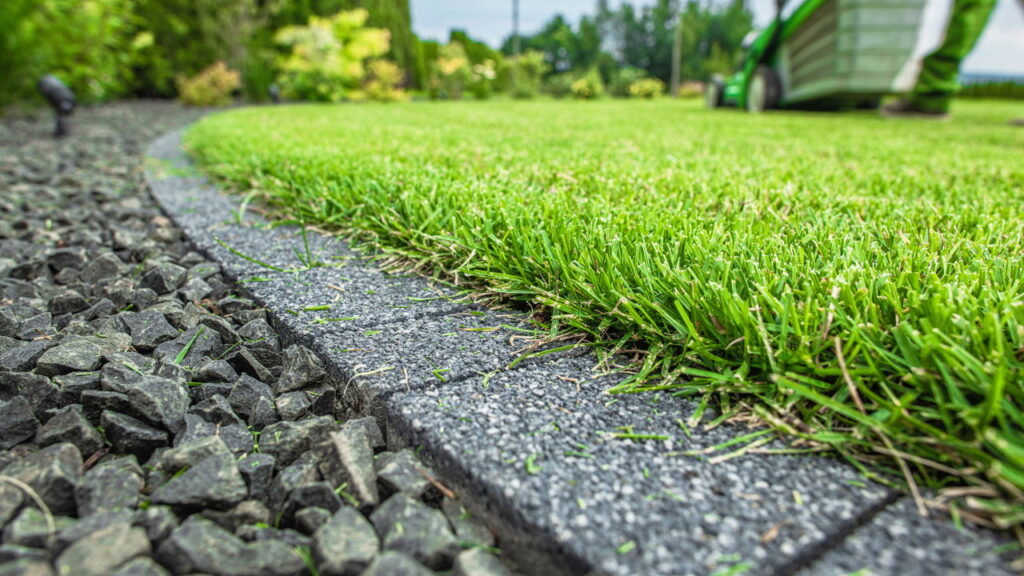 Se você quer manter os cobras longe do seu jardim, cultive essas 3 plantas