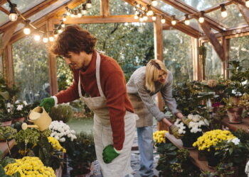 Nem químico forte, nem gasto desnecessário: vinagre e bicarbonato como aliados da casa e do jardim
