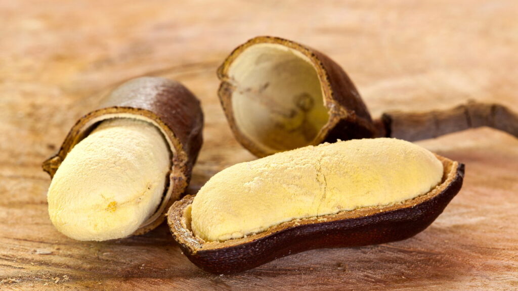 Essa árvore brasileira está surpreendendo quem busca saúde natural