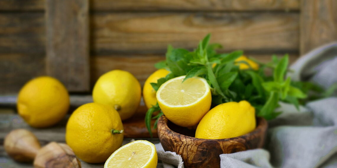 Como plantar limão em casa e colher o ano todo