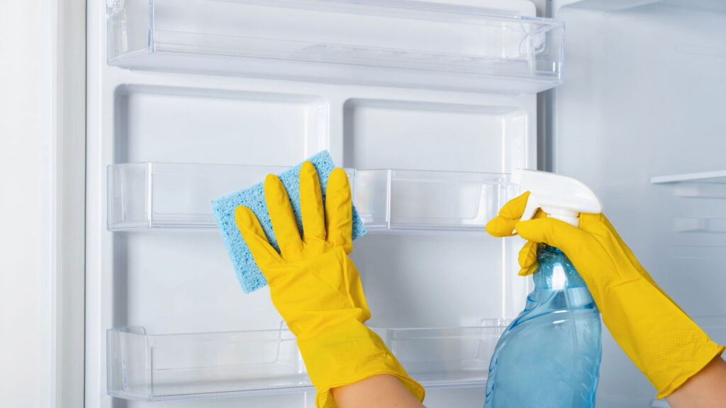 Acabe com o mofo do freezer e proteja sua cozinha de pragas