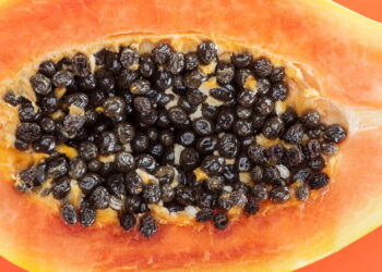 Quantas sementes de mamão devo comer para regenerar meu fígado?