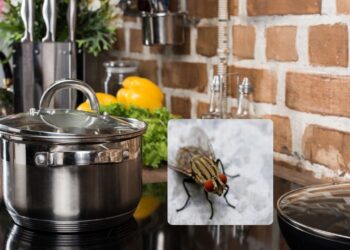 É o fim das moscas e mosquitos na cozinha, bastam algumas gotas deste produtos e um pouco de vinagre