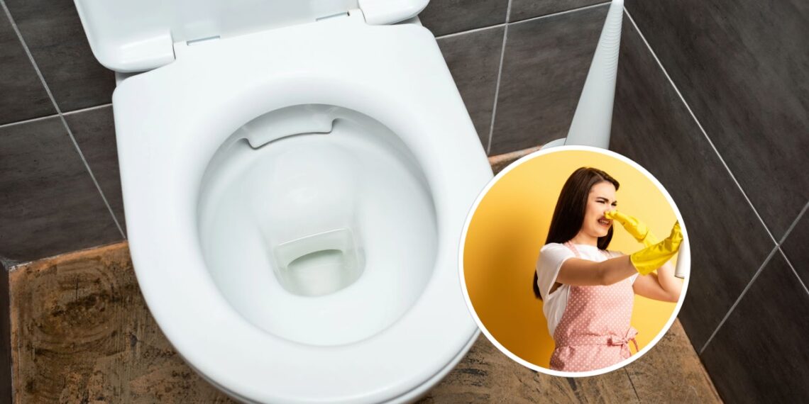 O truque com esses ingredientes pode deixar o vaso sanitário mais limpo e sem cheiro