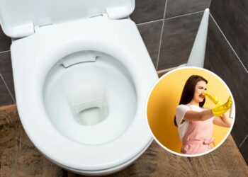 O truque com esses ingredientes pode deixar o vaso sanitário mais limpo e sem cheiro