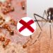 O tempero natural que espanta mosquitos e formigas da sua casa