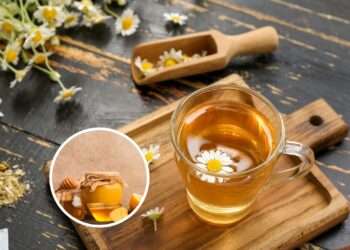 Como preparar um chá de camomila com mel e limão para relaxar e fortalecer o corpo