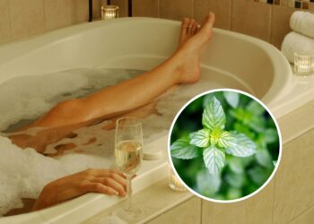 As plantas que transformam seu banho em um ritual terapêutico