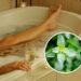 As plantas que transformam seu banho em um ritual terapêutico
