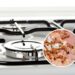 O que está atraindo formigas para o seu fogão sem você perceber