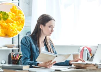 Opções de refeições que melhoram a concentração e o foco mental segundo nutricionistas