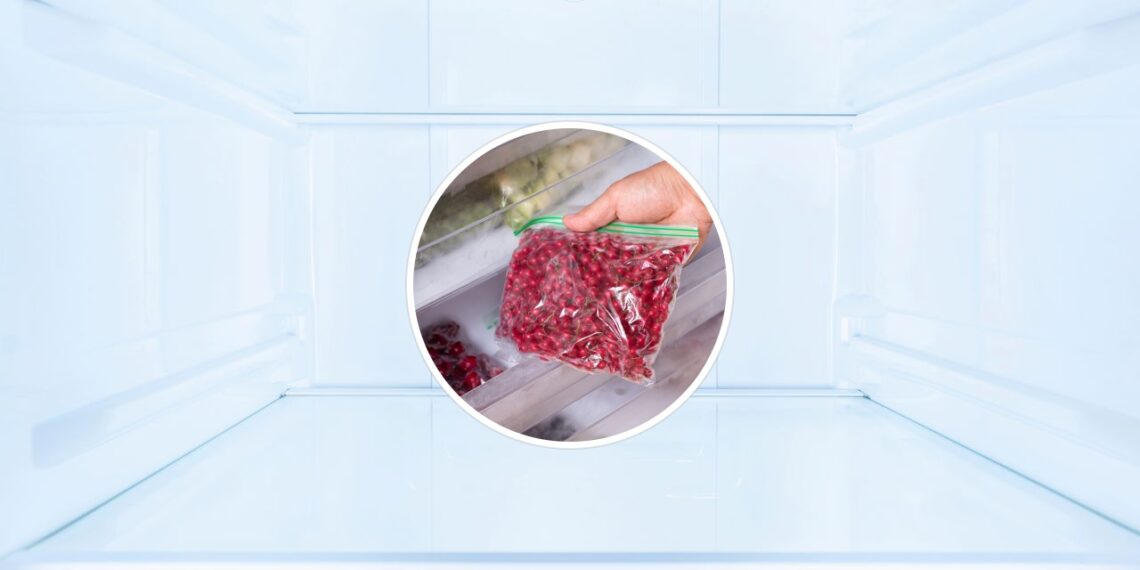 A melhor forma de conservar temperos por meses no freezer