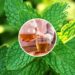 Chá anti-inflamatório de hortelã-pimenta ajuda na digestão e fortalece a microbiota