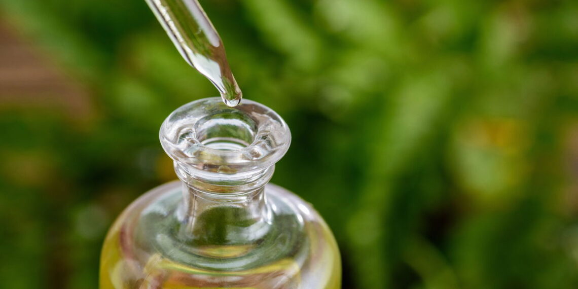 O óleo natural dessa árvore é o mais potente para dores e inflamações crônicas