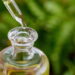 O óleo natural dessa árvore é o mais potente para dores e inflamações crônicas